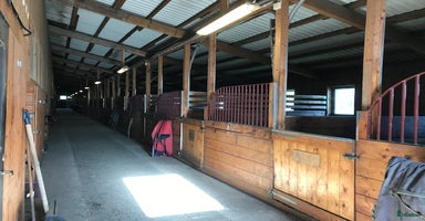  stallplats i Björklinge - Annons 6