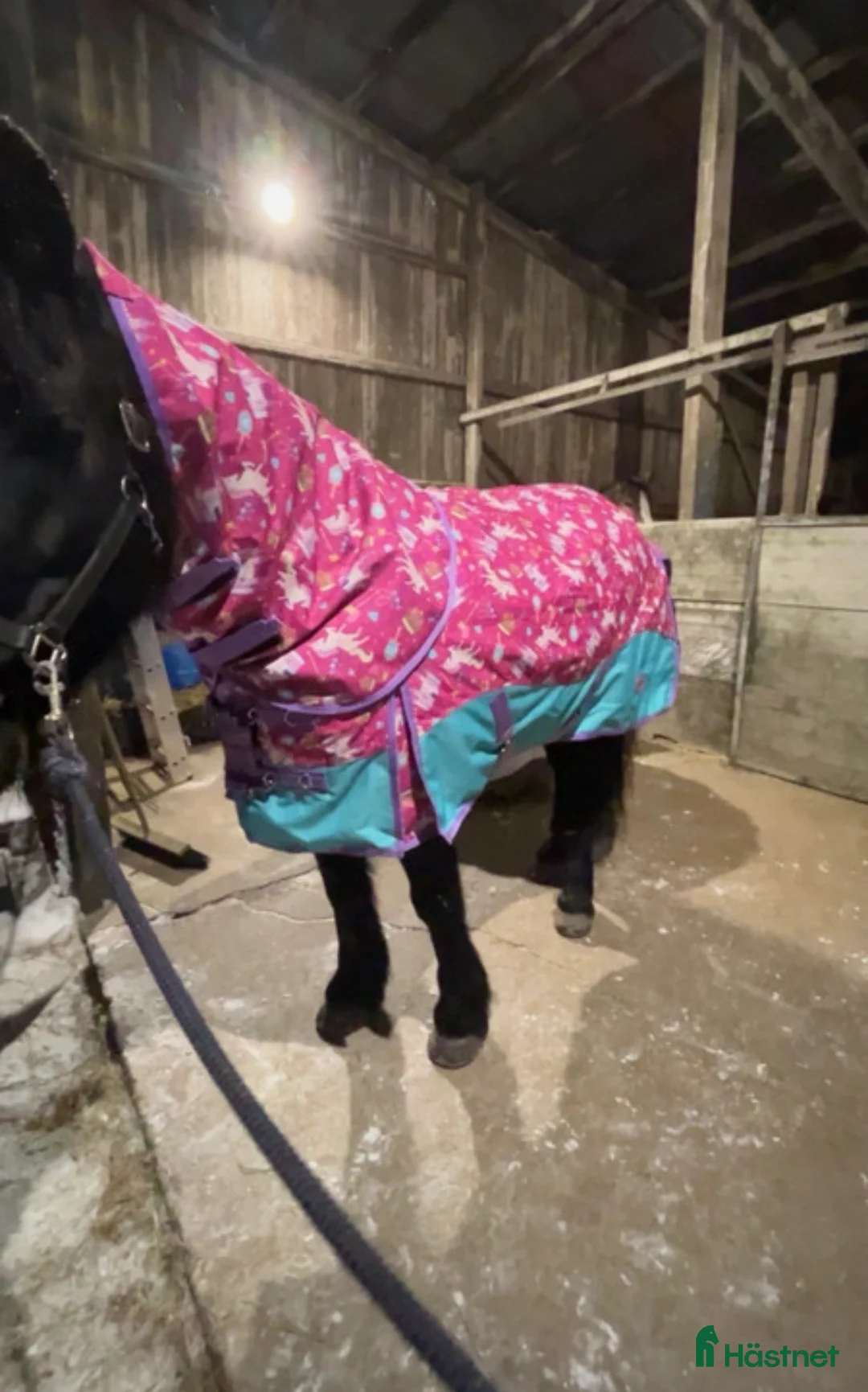 Täcken hästutrustning till salu: Nytt täcke  i Umeå - Annons 1