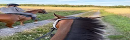  stallplats finnes: Tvärdala/Västra Husby - Annons 5
