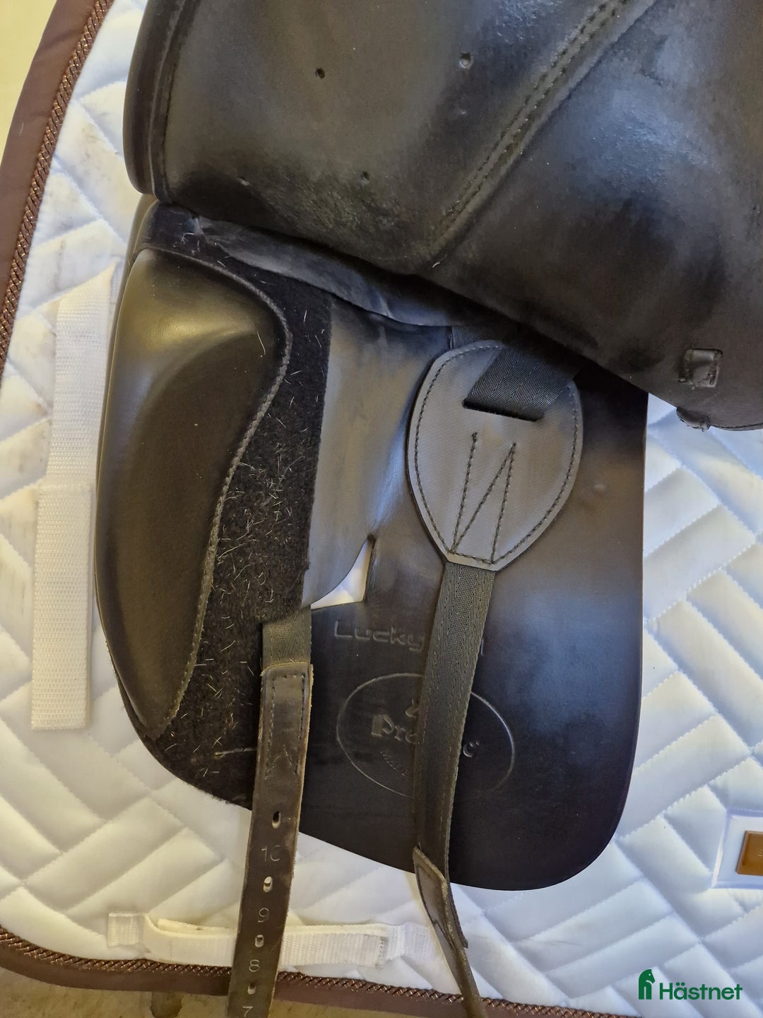 Sadlar hästutrustning till salu: Prestige Lucky Idol i Oskarström - Annons 8
