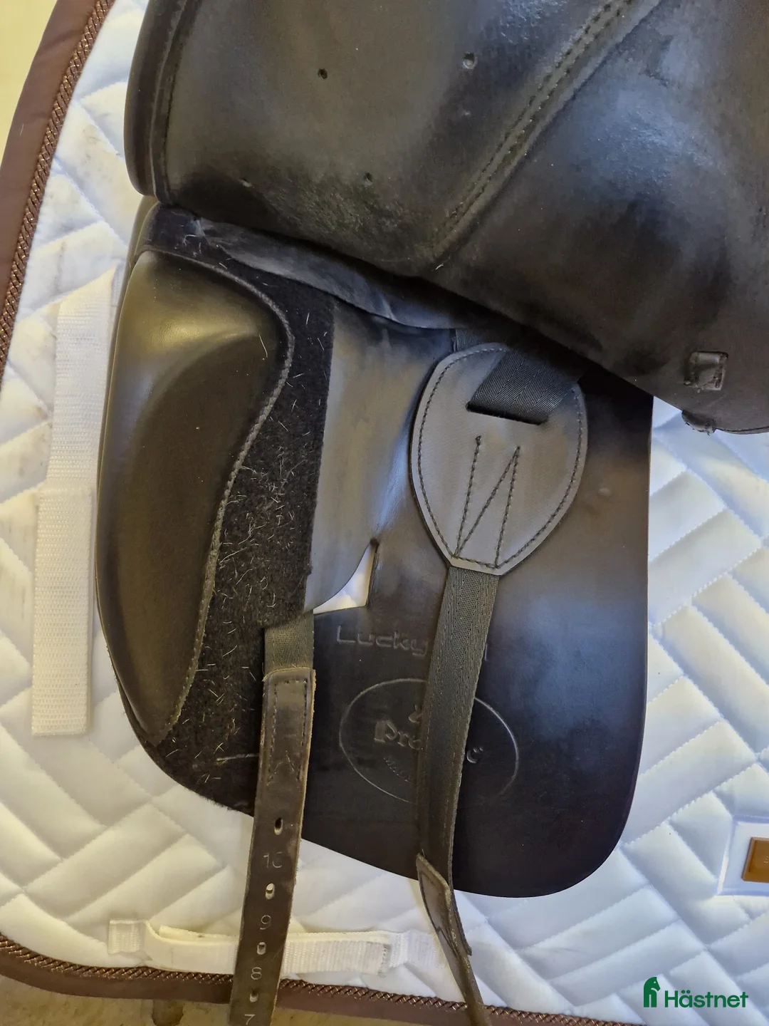 Sadlar hästutrustning till salu: Prestige Lucky Idol - Annons 8
