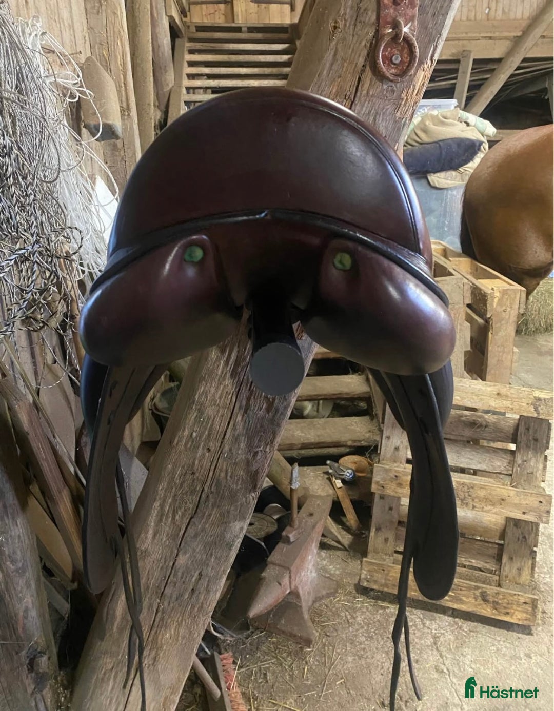 Sadlar hästutrustning till salu: Equipe olympia i Köping - Annons 4