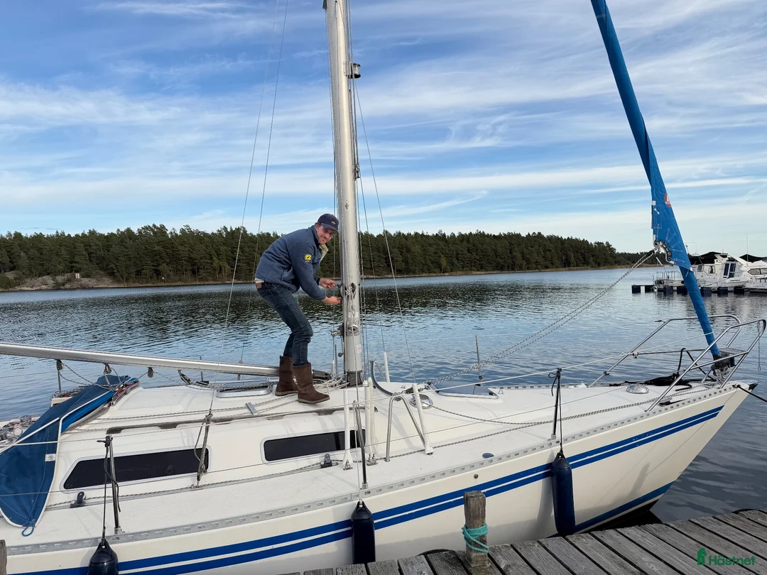 Avelshästar hästar till salu: Dags för fantastiska Eunomia att gå till avel - Annons 2