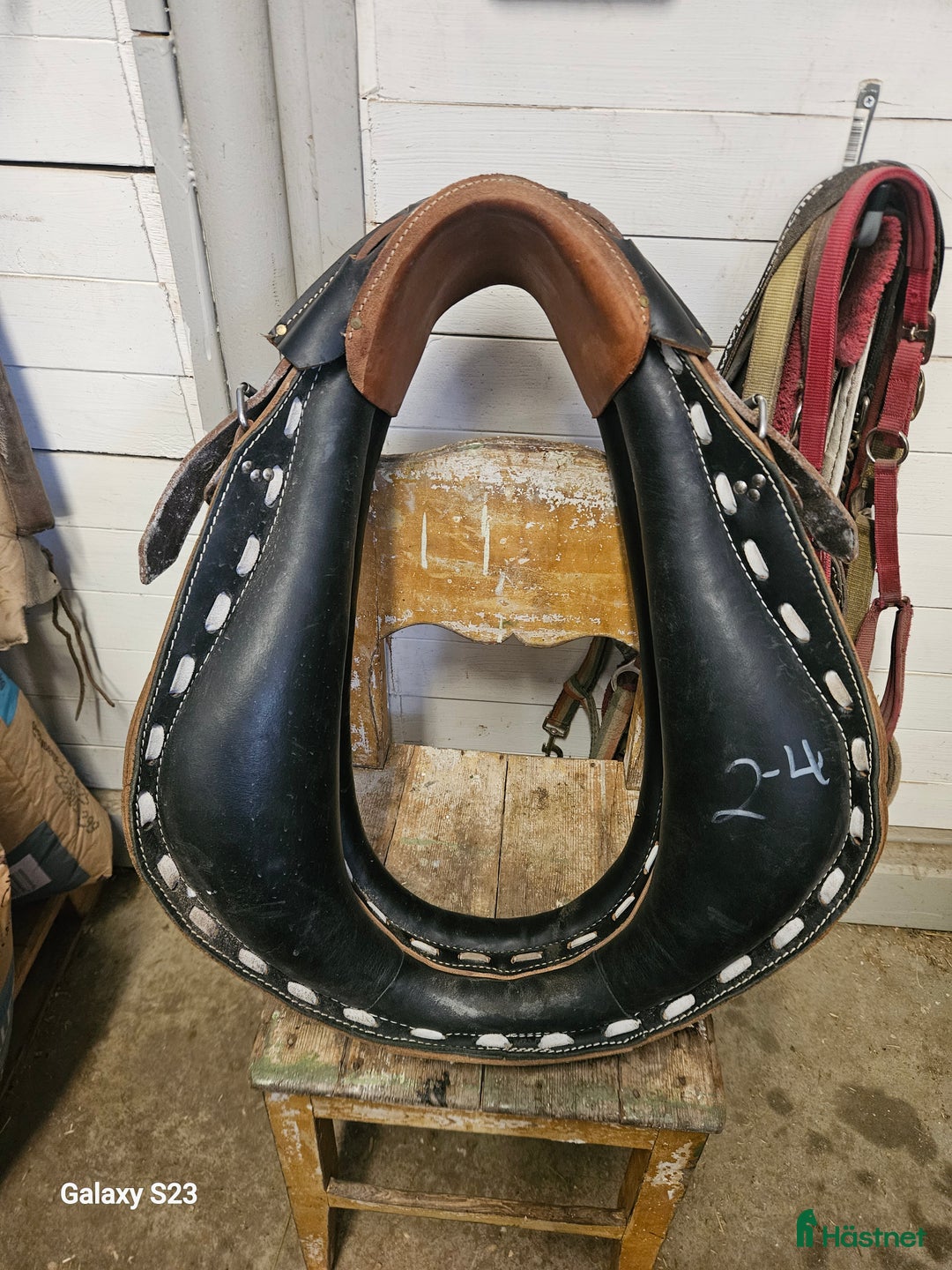 Körselar körning till salu: Hames/Collar i Byske - Annons 2