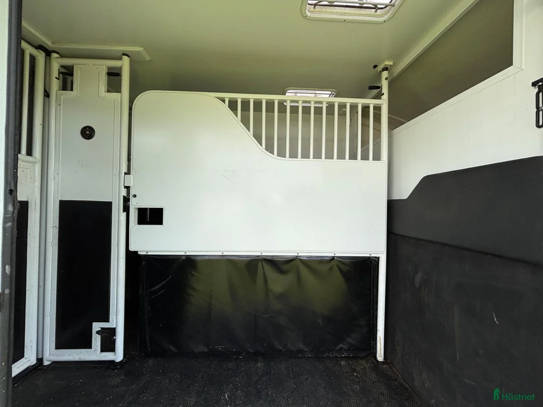 Hästlastbilar  fordon & transport till salu: Horsepartner Nuyts Hästlastbil - Annons 18