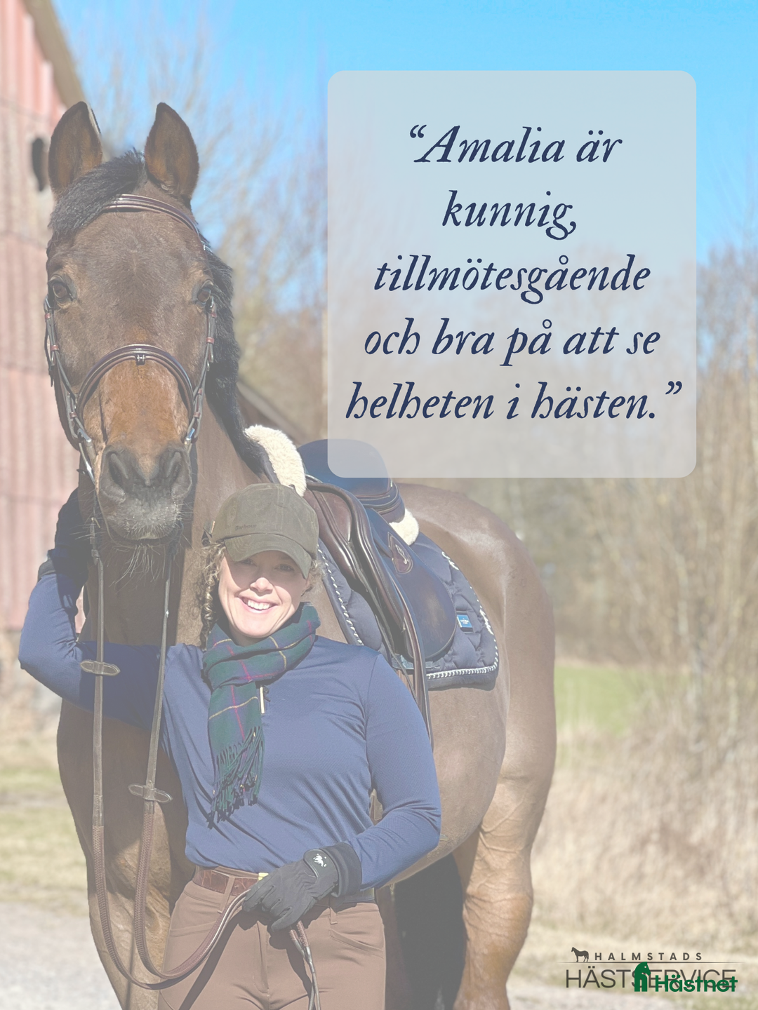  hästservice finnes: inridning & utbildning i Simlångsdalen - Annons 4