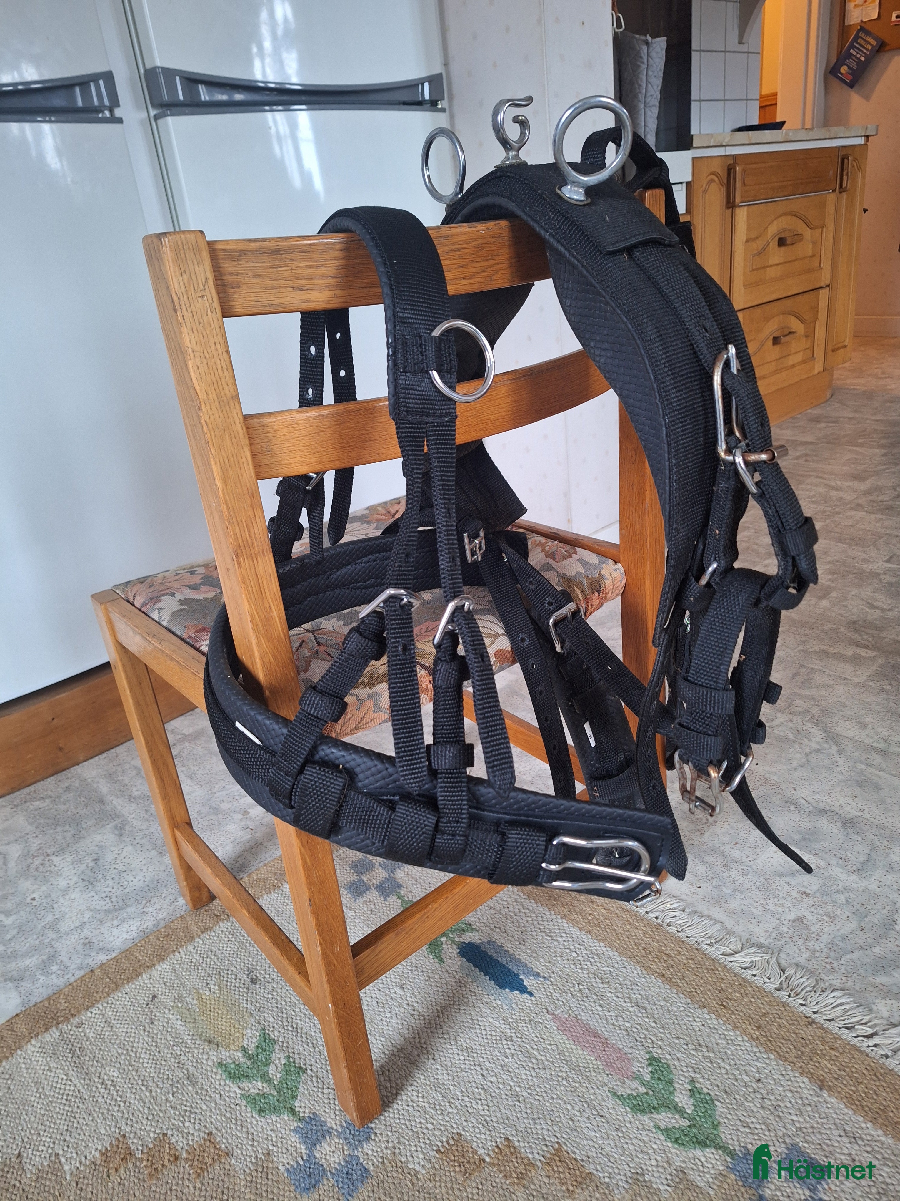 Körselar körning till salu: Bröstsele i Stallarholmen - Annons 16