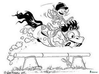 hästjobb Hästskötare sökes - Annons 6