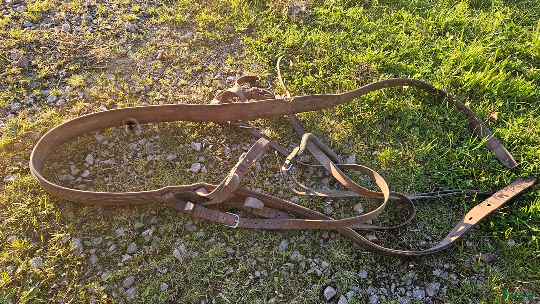 Övrig Körutrustning körning till salu: Bakselar och tillbehör  i Strömsnäsbruk - Annons 1