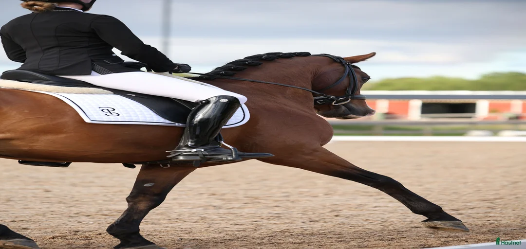 Galleribild {{count}}