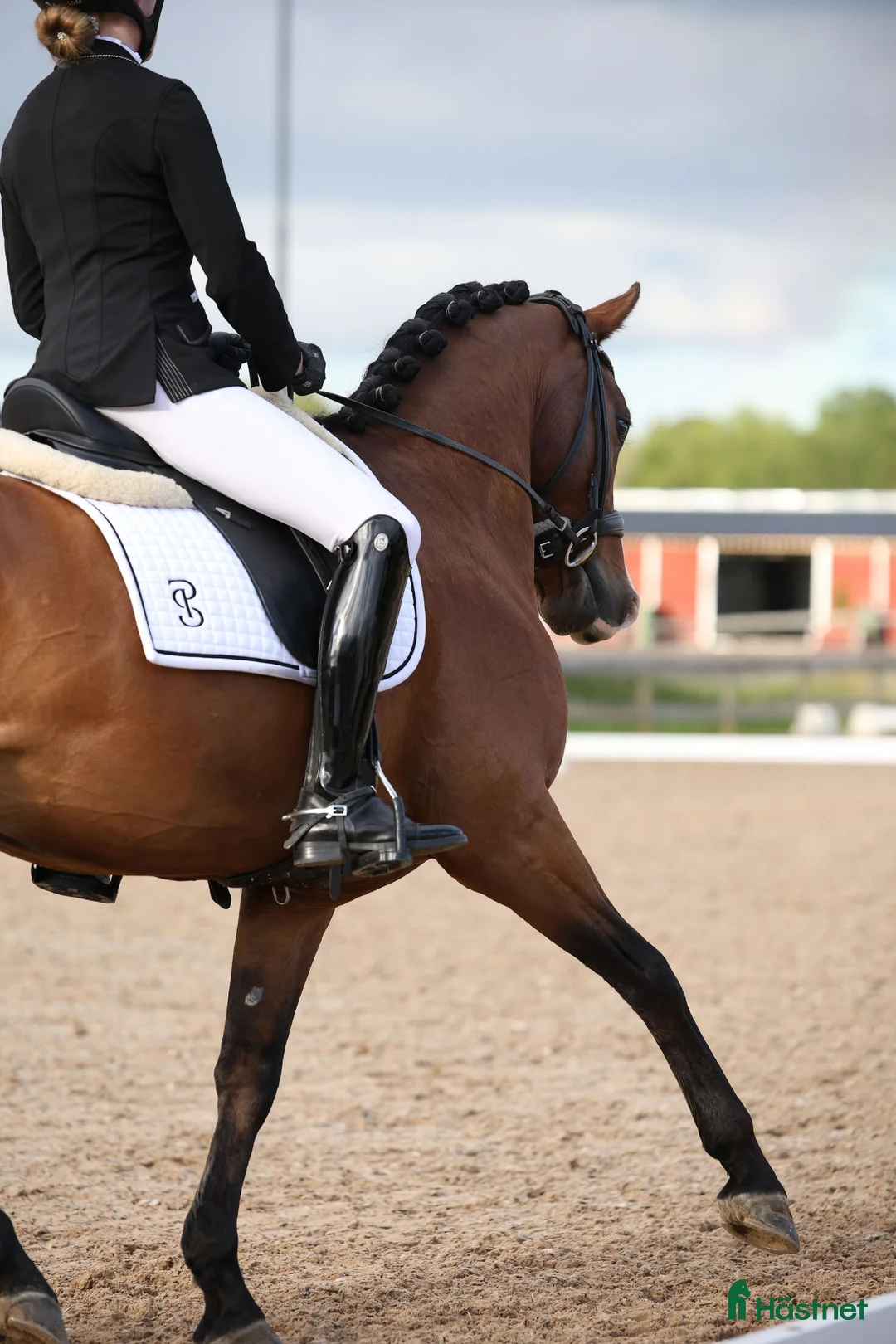 Galleribild {{count}}