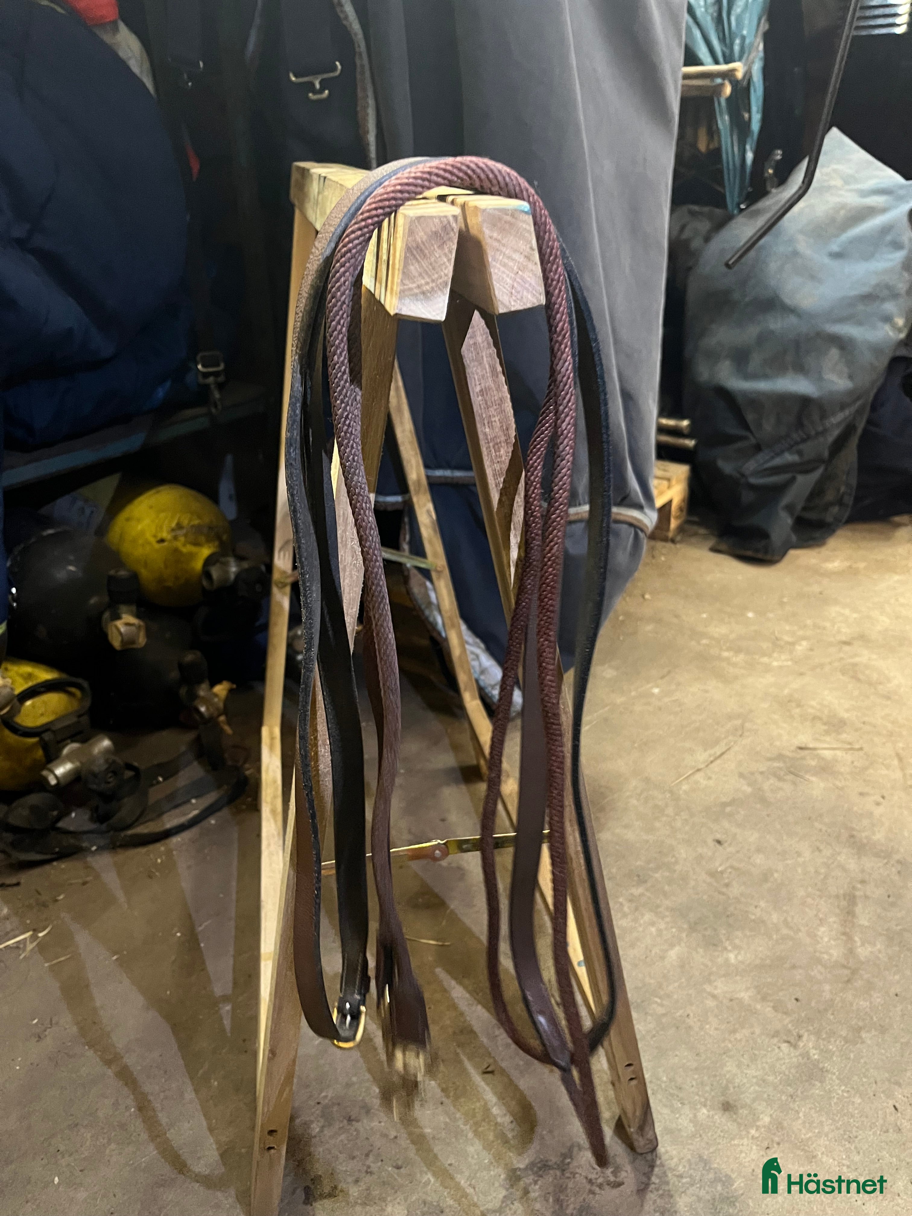 Övrig Hästutrustning hästutrustning till salu: Graman i Norrköping - Annons 8