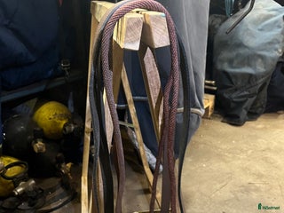 Övrig Hästutrustning hästutrustning till salu: Graman i Norrköping - Annons 8