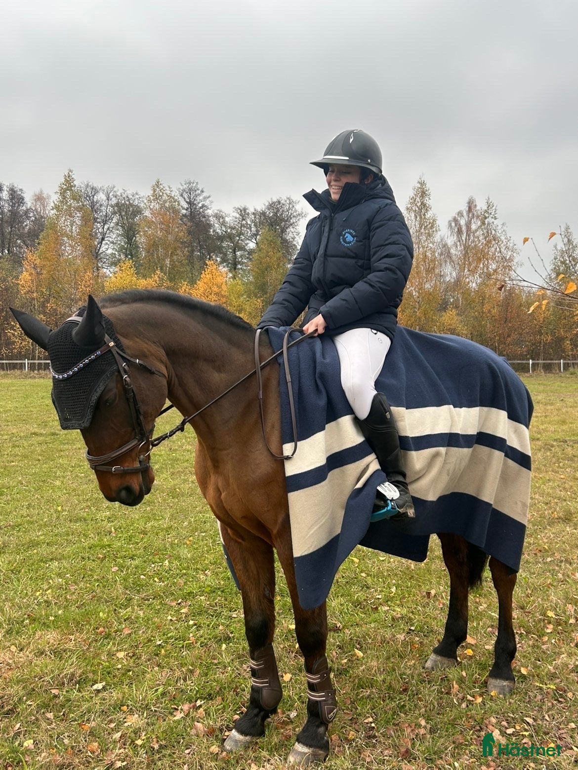  hästar Bästa kompis🌸 - Annons 1