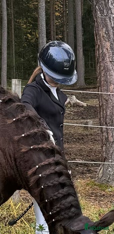 Hjälmar ryttarutrustning till salu i Frösön - Annons 16