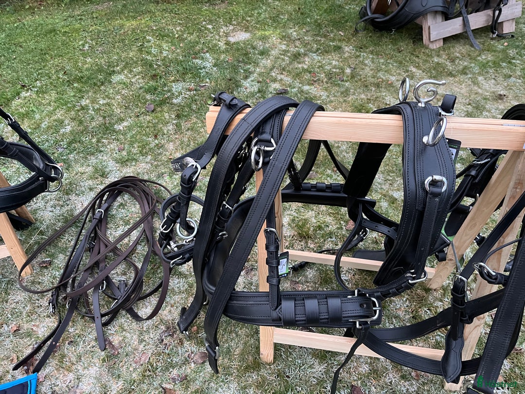 Körselar körning till salu: Parselar ponny Ideal i Västra Ämtervik - Annons 15