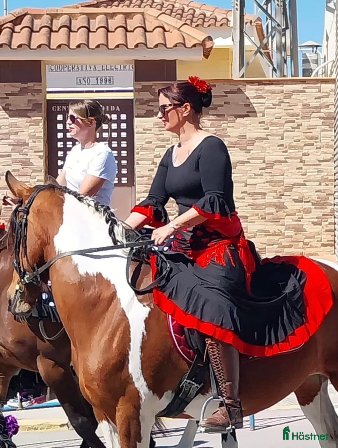 Allround hästar till salu: Mor & Dotter, Hobby, Bästa vän i Skövde - Bild 4