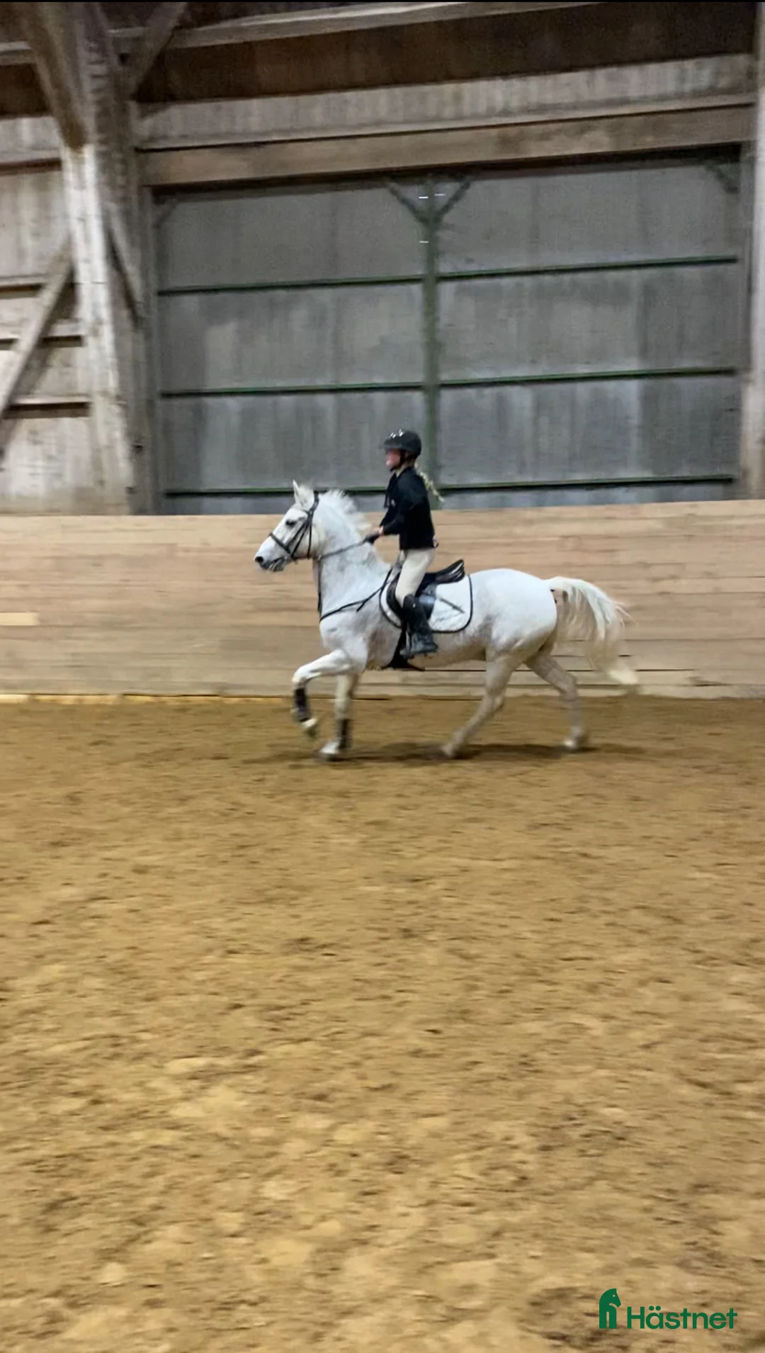 Hoppning hästar till salu: Kul D-ponny som älskar livet!  i Sturefors - Annons 1