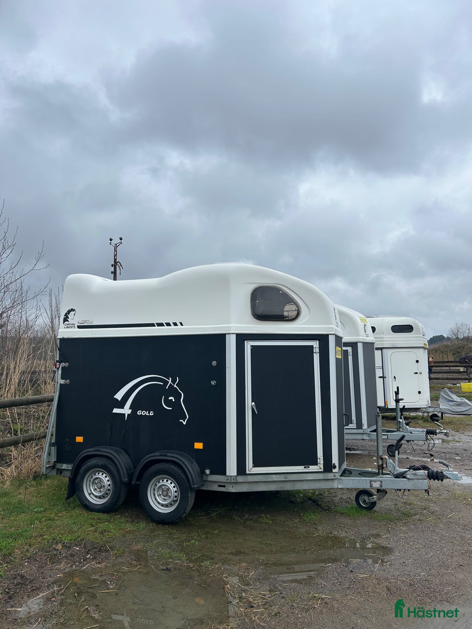 Hästtransporter  fordon & transport till salu: Cheval Gold -16 - Annons 5