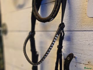 Träns hästutrustning till salu: Träns utan tryck på nervbanor. Frakt ingår i Enköping - Annons 18