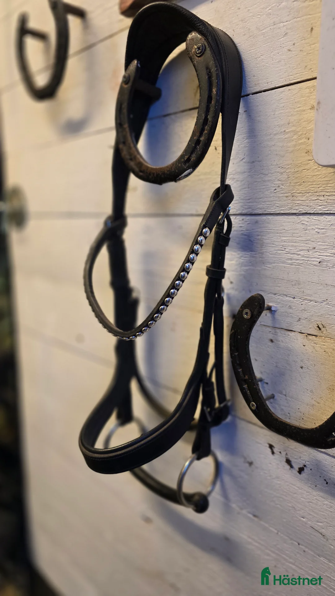 Träns hästutrustning till salu: Träns utan tryck på nervbanor. Frakt ingår i Enköping - Annons 1