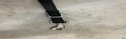 Övrig Hästutrustning hästutrustning till salu: Blandad utrustning i Nyköping - Annons 9