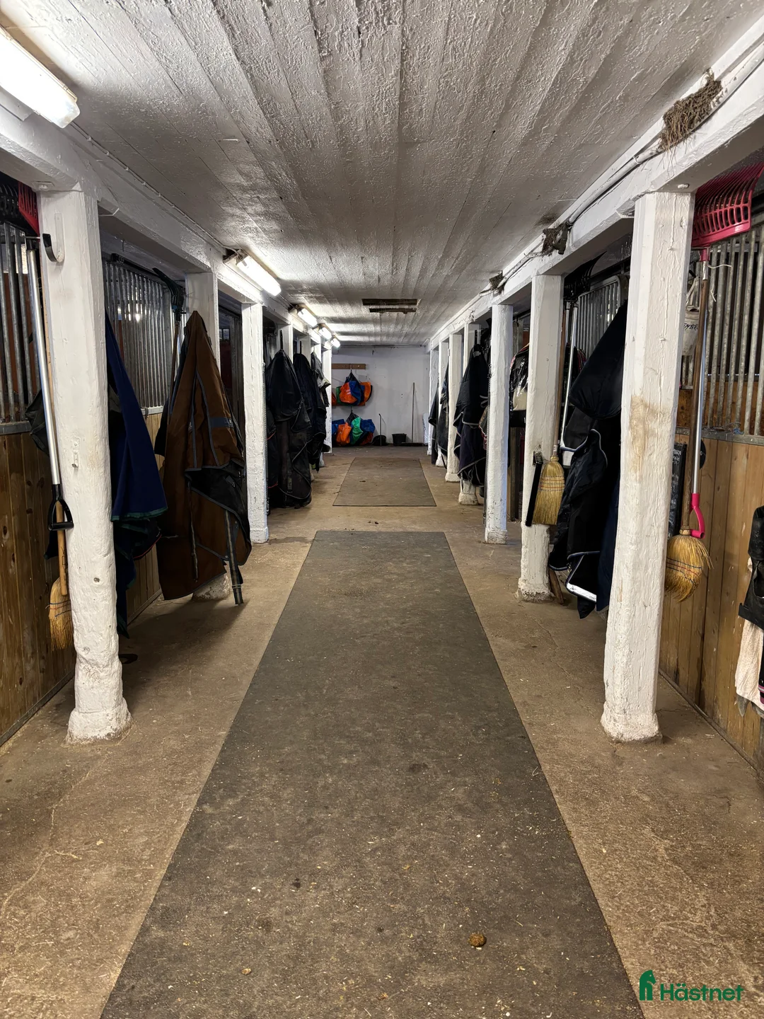  stallplats finnes: Ledig box för ponny på Lovön  i Drottningholm - Annons 5