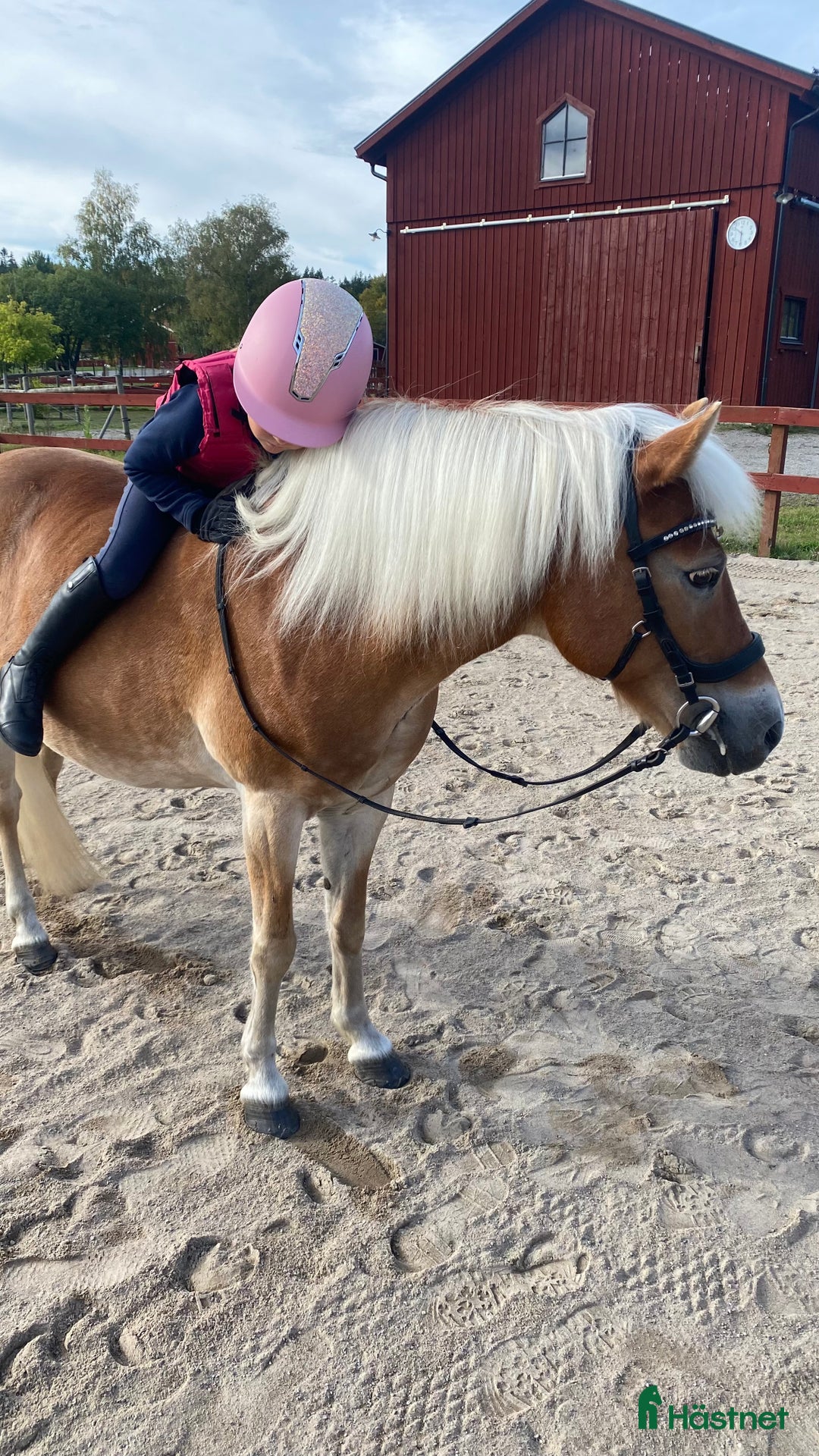  hästservice finnes: Söker medryttarponny  i Älta - Annons 2