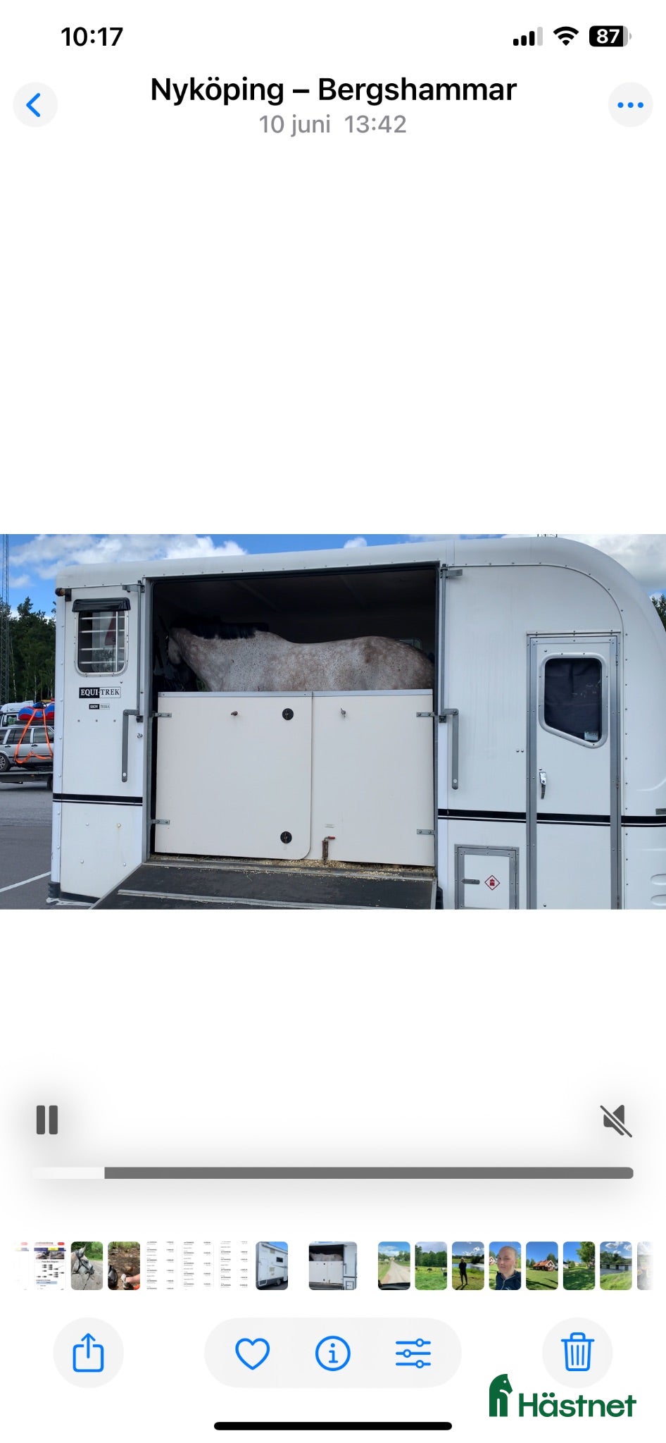 Hästtransporter  fordon & transport till salu: Fin transport med bodel - Annons 2