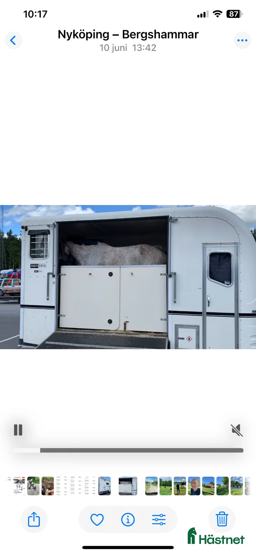 Hästtransporter  fordon & transport till salu: Fin transport med bodel - Annons 1