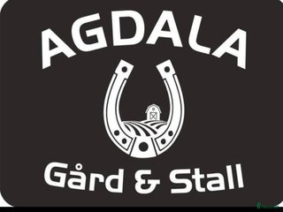 stallplats finnes: Lösdrift nära Södertälje i Järna - Annons 1