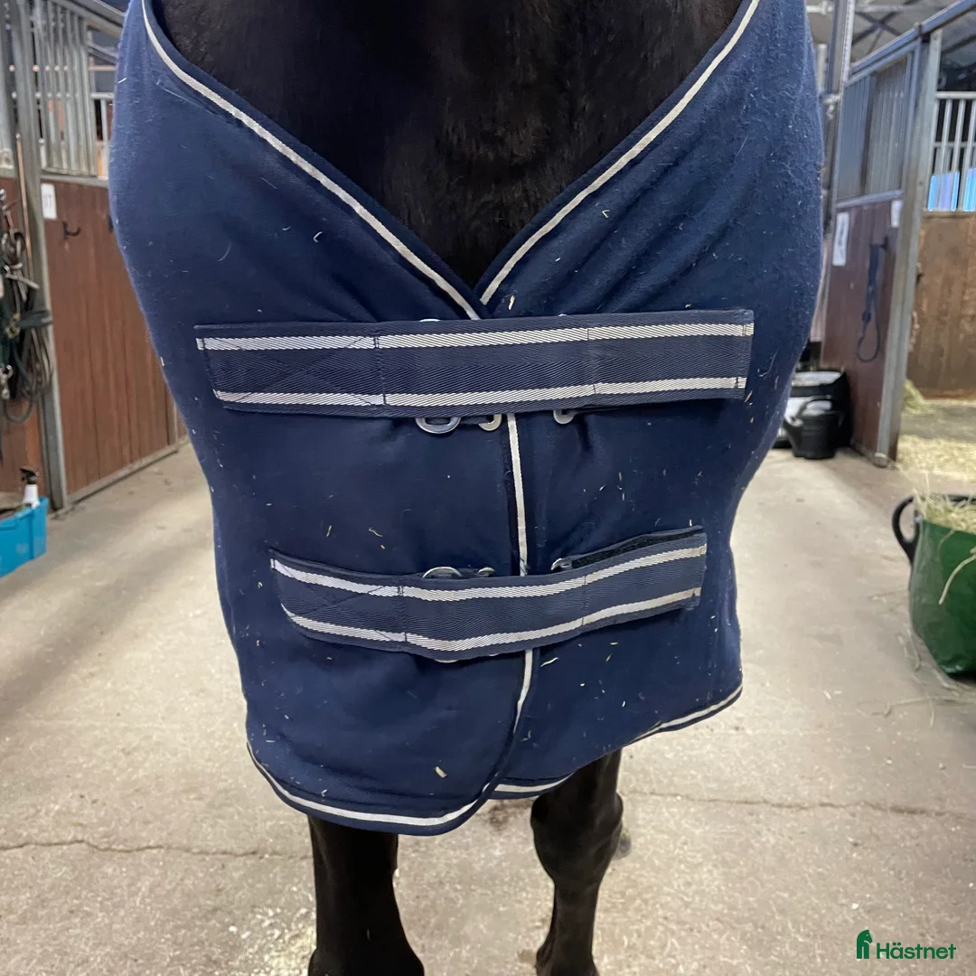 Täcken hästutrustning till salu: Fleecetäcke i Gamleby - Annons 3