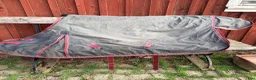 Täcken hästutrustning till salu: Flugtäcken 115-135cm - Annons 7