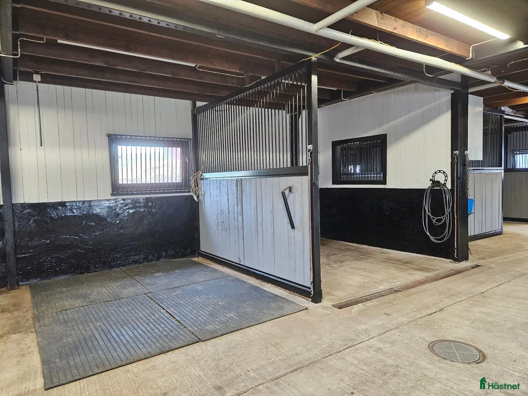  stallplats finnes: Stallplats uthyres i lugnt och trivsamt stall 🌟 - Annons 2