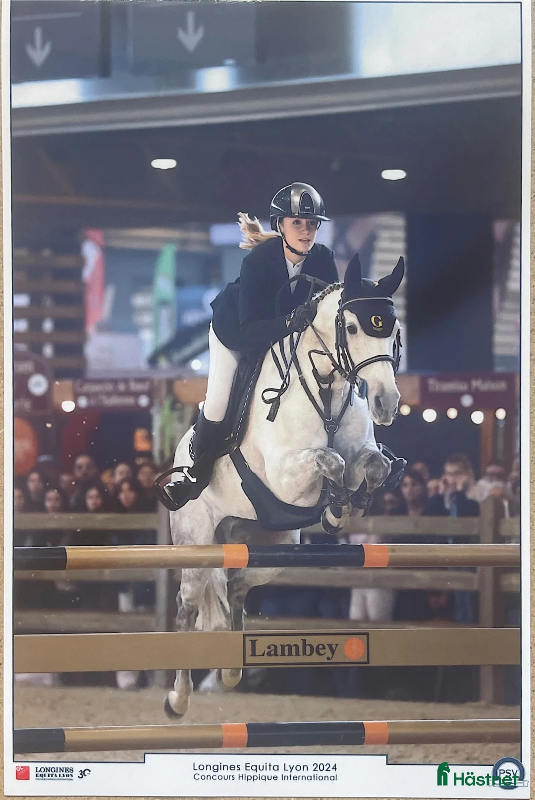 Hoppning hästar till salu: 148 Big Tracks ponies at Gateau Stables France - Annons 6