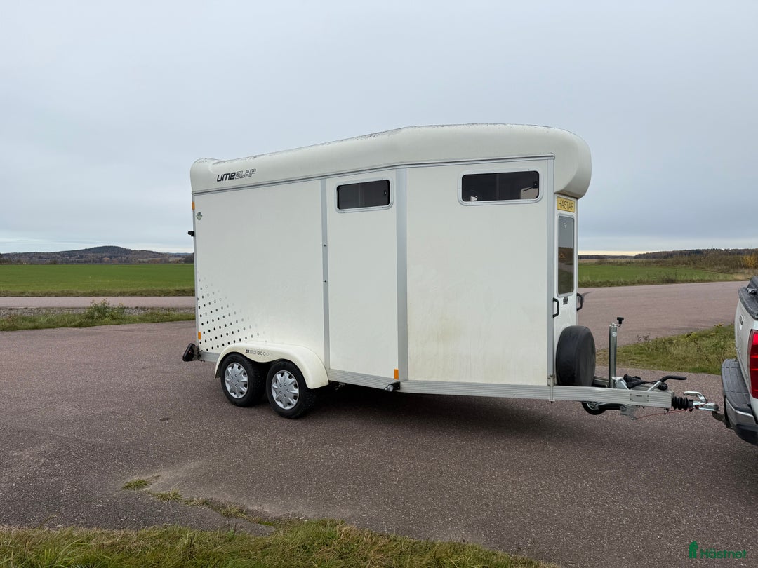 Hästtransporter  fordon & transport till salu: UME B60 -11 i Borlänge - Annons 2