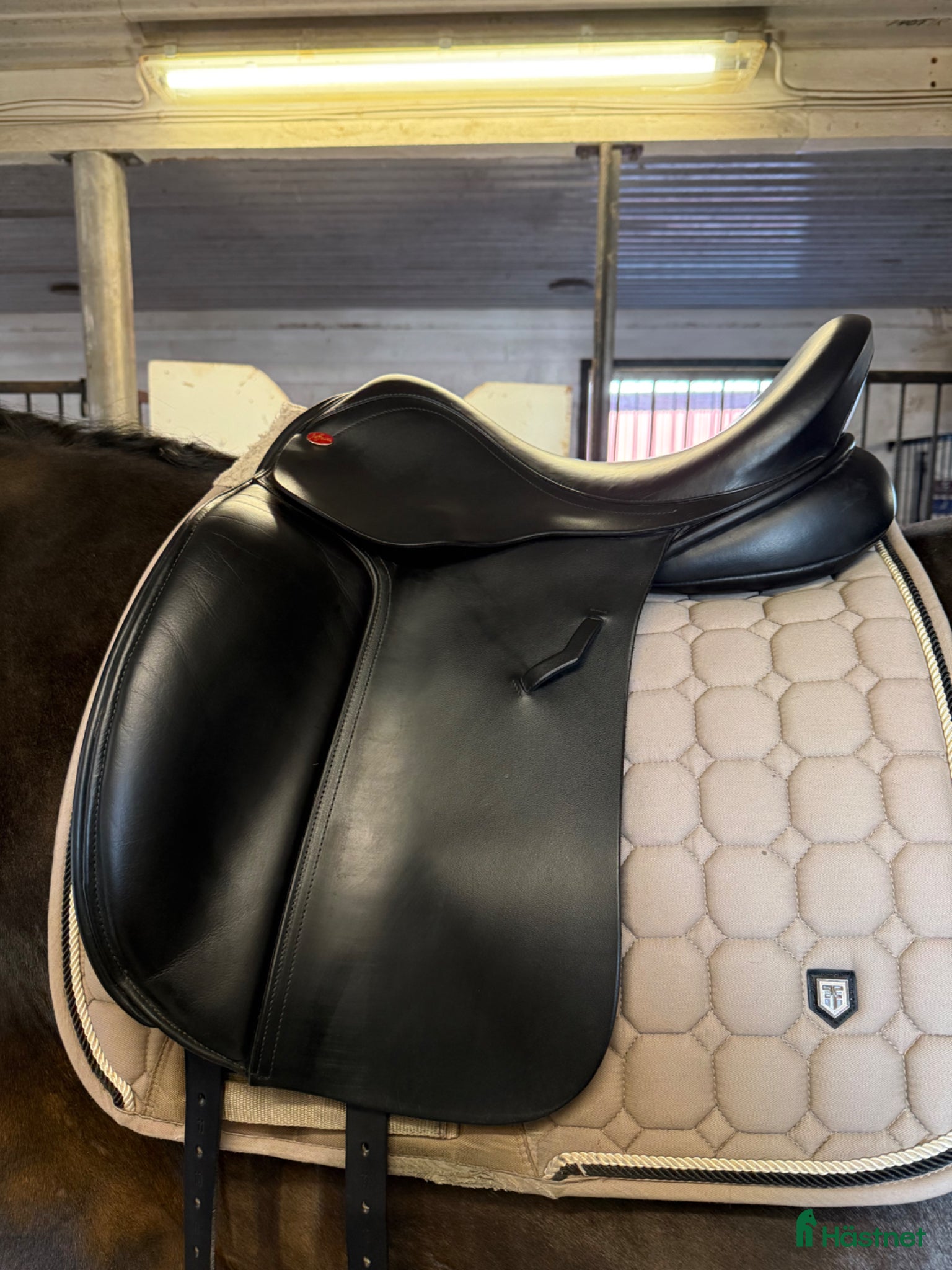 Sadlar hästutrustning Dressyrsadel i mycket fint skick  - Annons 17