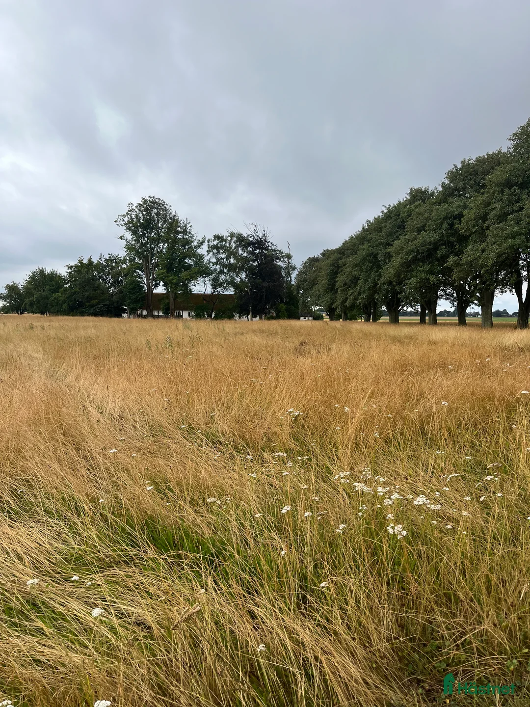  hästservice finnes: Lösdrift/sommarbete sommar 2026 nära Smygehuk - Annons 4