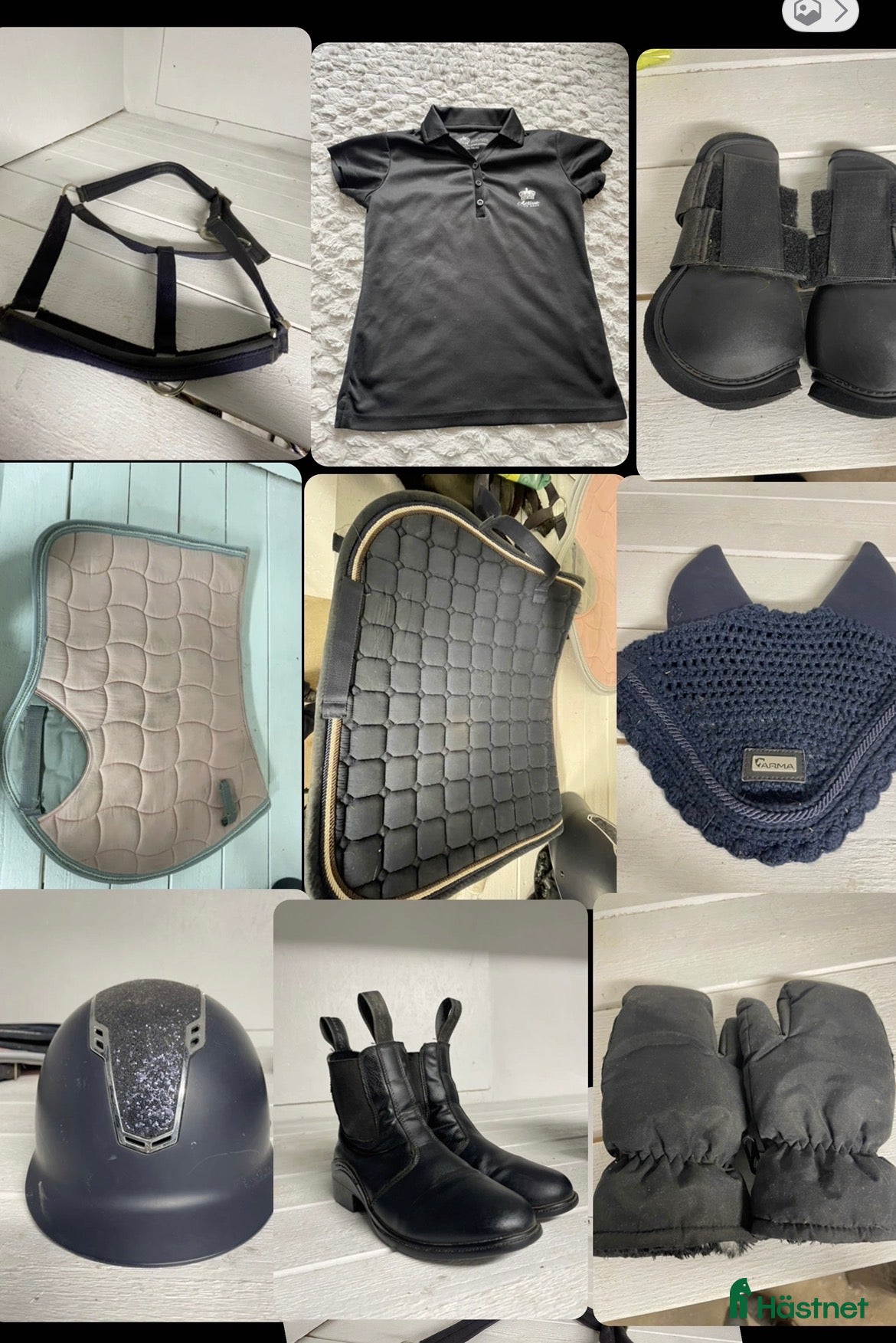 Övrig Ryttarutrustning ryttarutrustning till salu: Häst och ryttar kitt - Annons 2