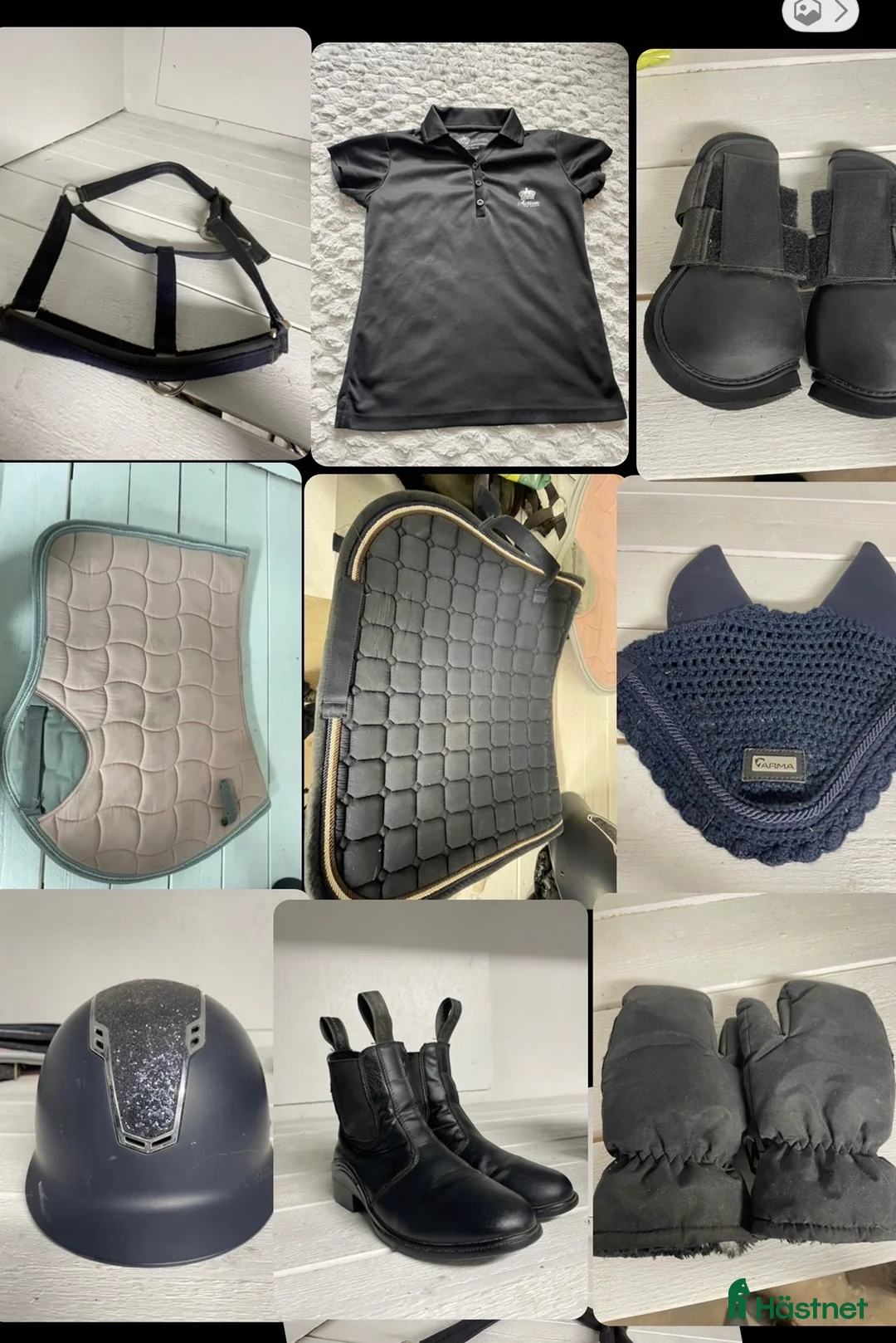 Övrig Ryttarutrustning ryttarutrustning till salu: Häst och ryttar kitt - Annons 1