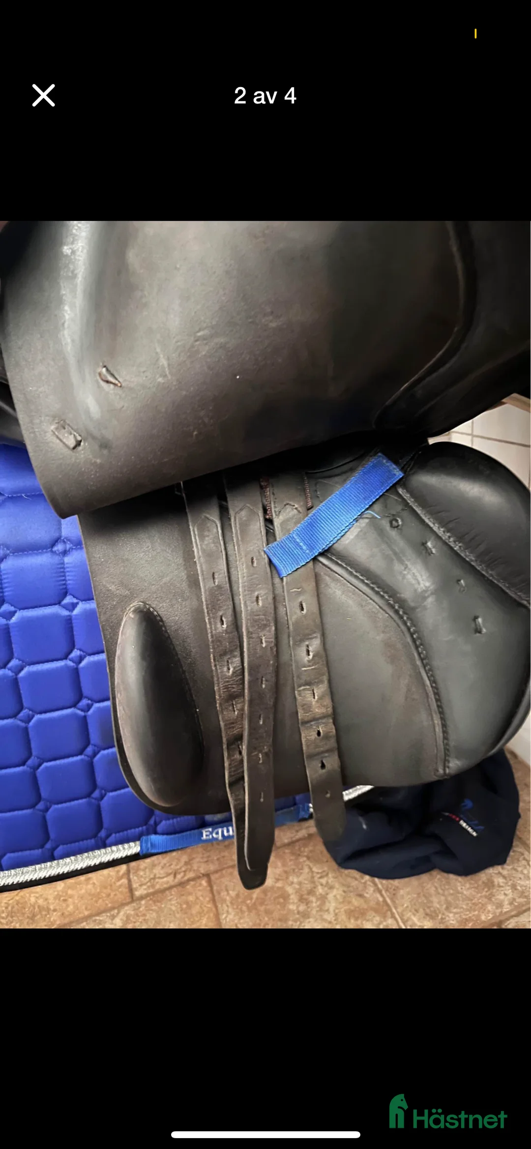 Sadlar hästutrustning till salu: Superskön allround/hopp i Hässleholm - Annons 2