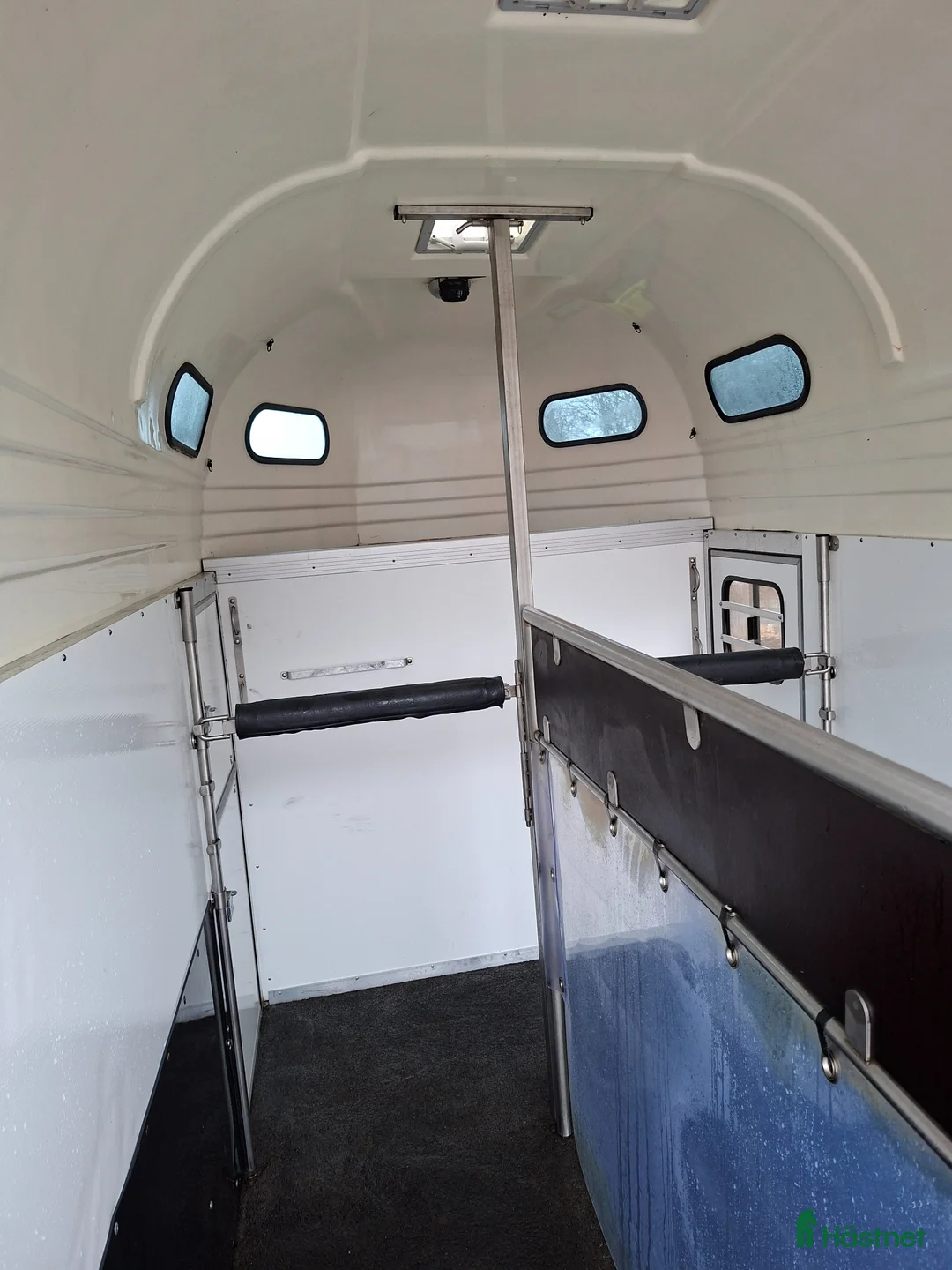 Hästtransporter  fordon & transport till salu: Forzab Futuro - Annons 12