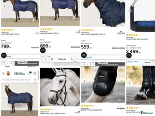 Övrig Hästutrustning hästutrustning Blandad hästutrustning i Berghem - Annons 6