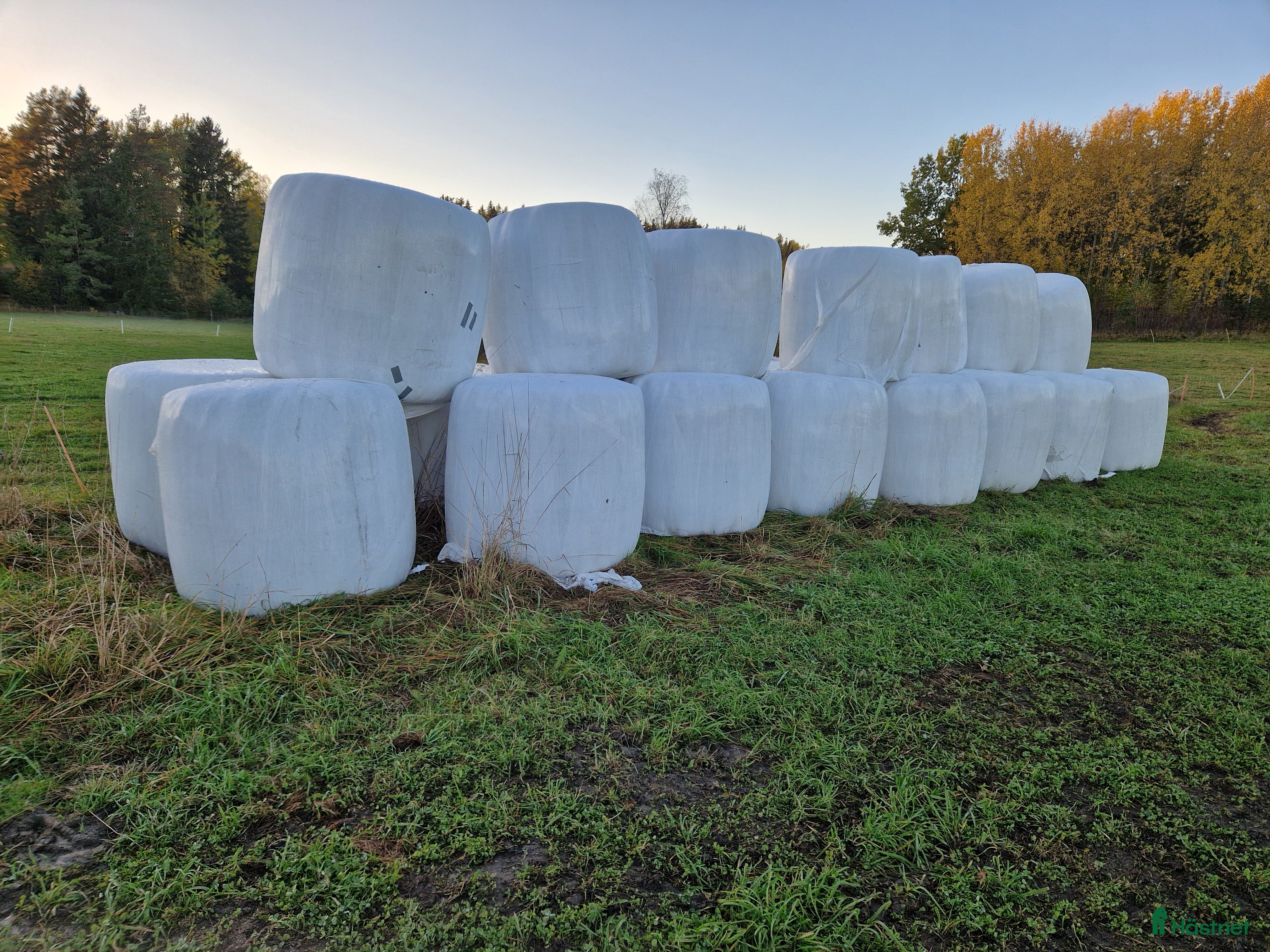 Övrig Hästutrustning hästutrustning Hösilage i Edsbro - Annons 1