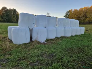 Övrig Hästutrustning hästutrustning Hösilage i Edsbro - Annons 1