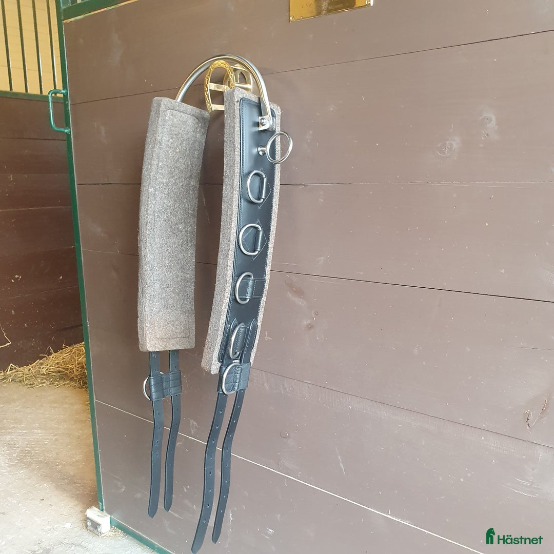 Övrig Hästutrustning hästutrustning till salu: Tömkörningsgjord med båge storlek Full i Tranås - Annons 2