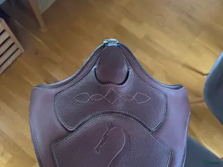 Sadeltillbehör hästutrustning Antares Hoppgjord - Annons 17