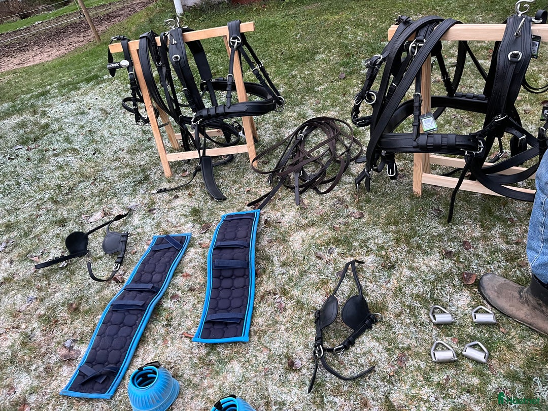 Körselar körning till salu: Parselar ponny Ideal i Västra Ämtervik - Annons 10