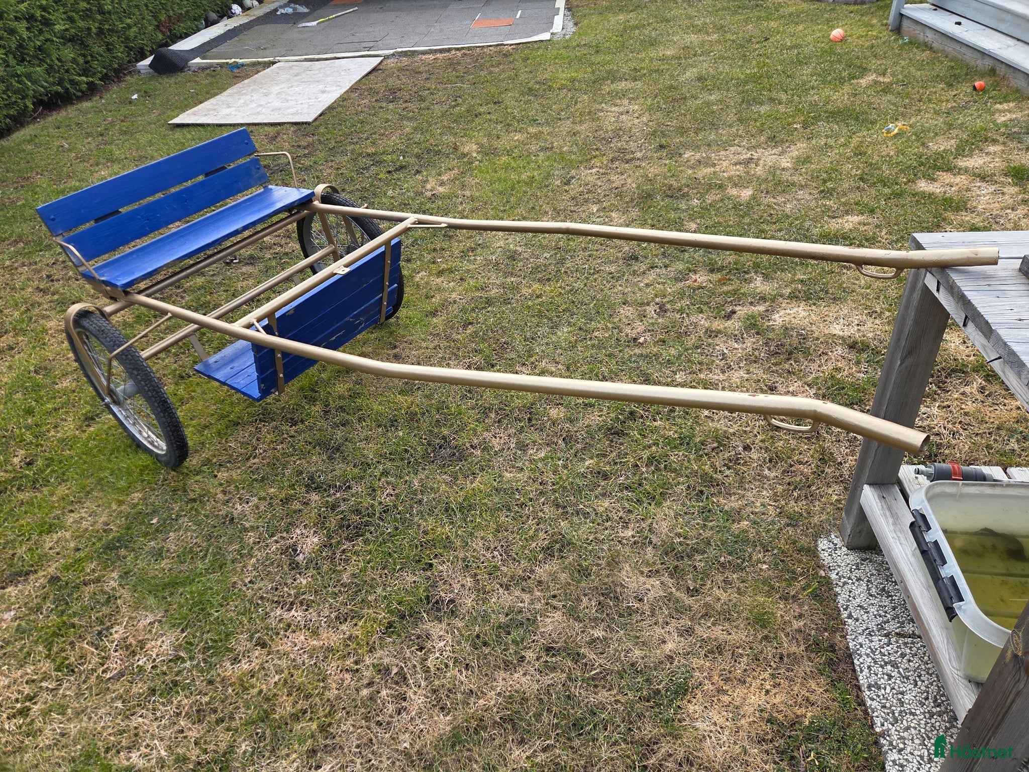 Travvagnar trav till salu: Ponny Rockard - Annons 3