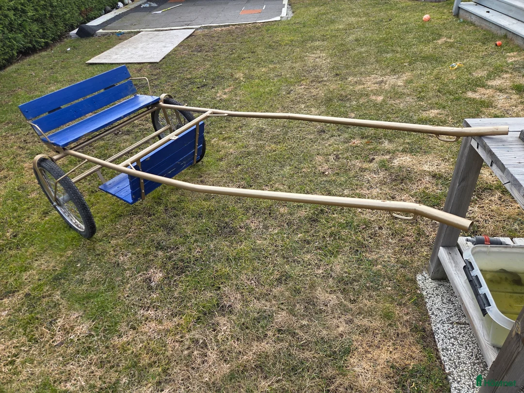 Travvagnar trav till salu: Ponny Rockard i Örebro - Annons 1